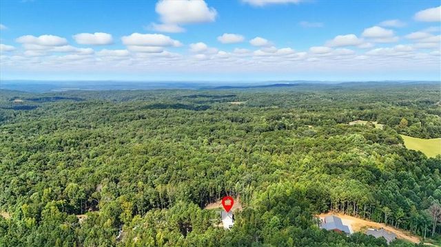 62 Joe Rowell Road, Buchanan, GA 30113