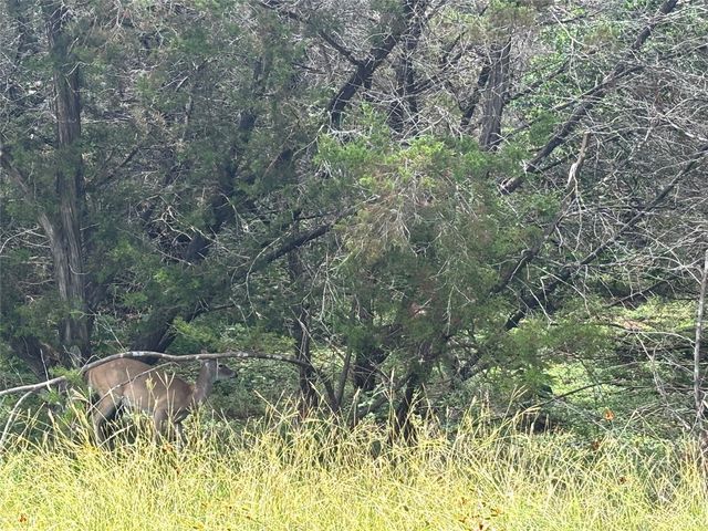 1684 Westview Court DR, Canyon Lake, TX 78133