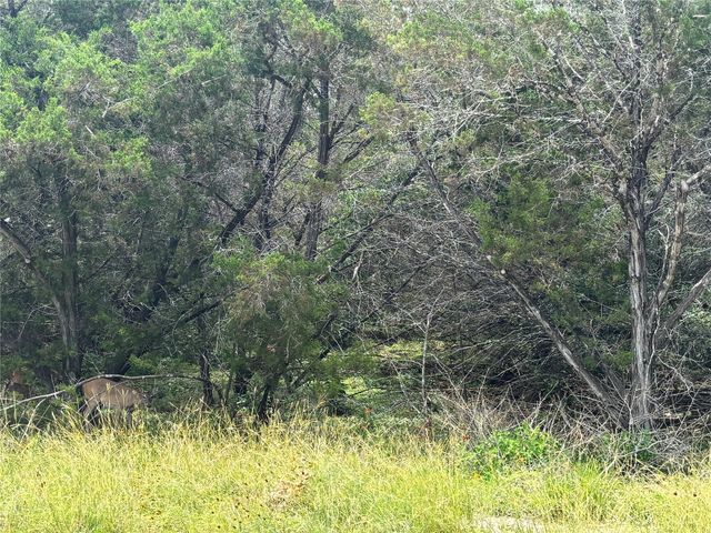 1684 Westview Court DR, Canyon Lake, TX 78133