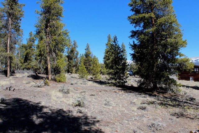 104 Cedar Drive, Twin Lakes, CO 80461