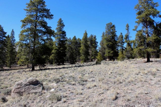 104 Cedar Drive, Twin Lakes, CO 80461