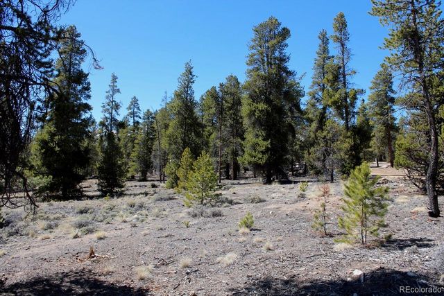 104 Cedar Drive, Twin Lakes, CO 80461