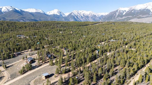 104 Cedar Drive, Twin Lakes, CO 80461