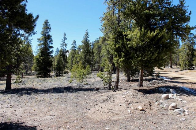 104 Cedar Drive, Twin Lakes, CO 80461