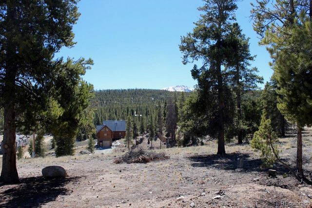 104 Cedar Drive, Twin Lakes, CO 80461