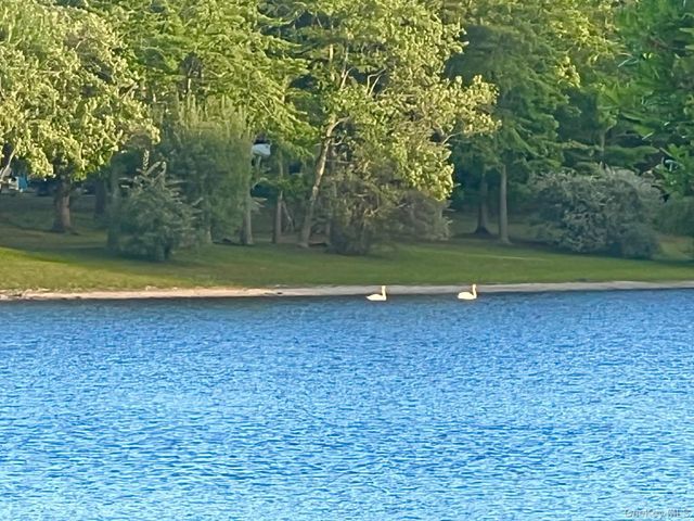 66 Bailey Court 66, Middle Island, NY 11953
