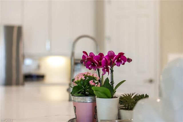 28003 Wicklow CT, Bonita Springs, FL 34135