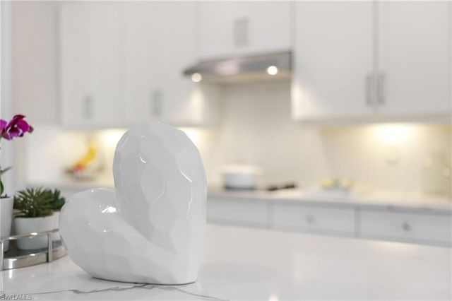 28003 Wicklow CT, Bonita Springs, FL 34135