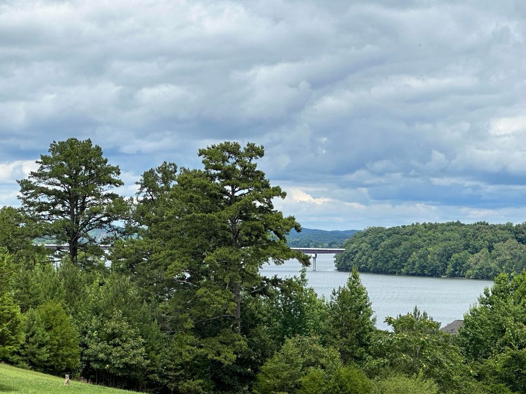 2186 Boat Hook Lane, Sale Creek, TN 37373