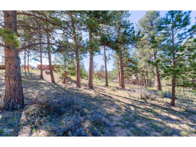 87 Sundance Cir, Nederland, CO 80466