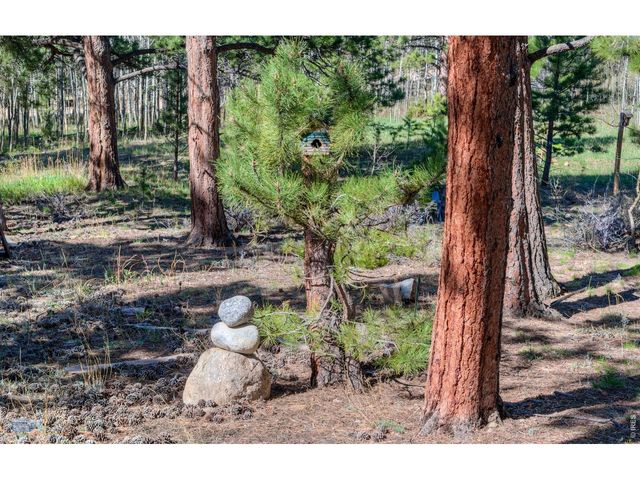 87 Sundance Cir, Nederland, CO 80466