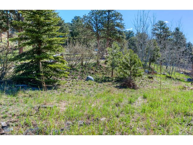87 Sundance Cir, Nederland, CO 80466