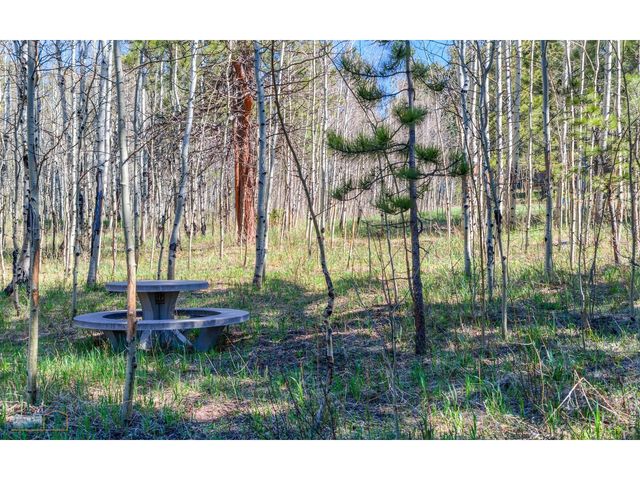 87 Sundance Cir, Nederland, CO 80466