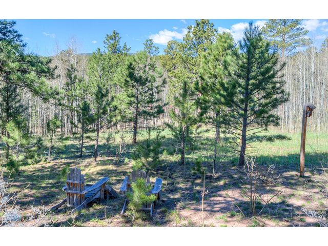 87 Sundance Cir, Nederland, CO 80466