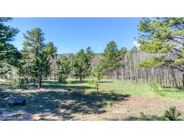 87 Sundance Cir, Nederland, CO 80466