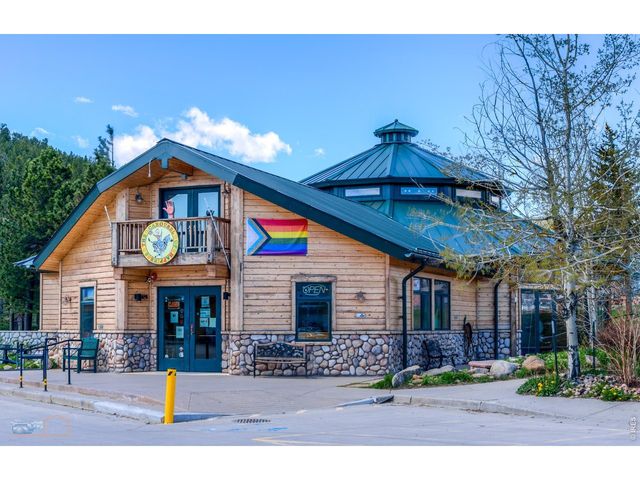 87 Sundance Cir, Nederland, CO 80466