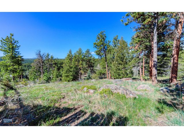 87 Sundance Cir, Nederland, CO 80466