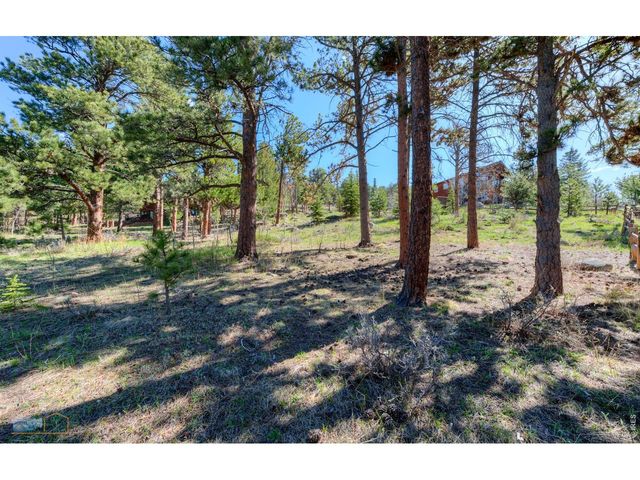 87 Sundance Cir, Nederland, CO 80466