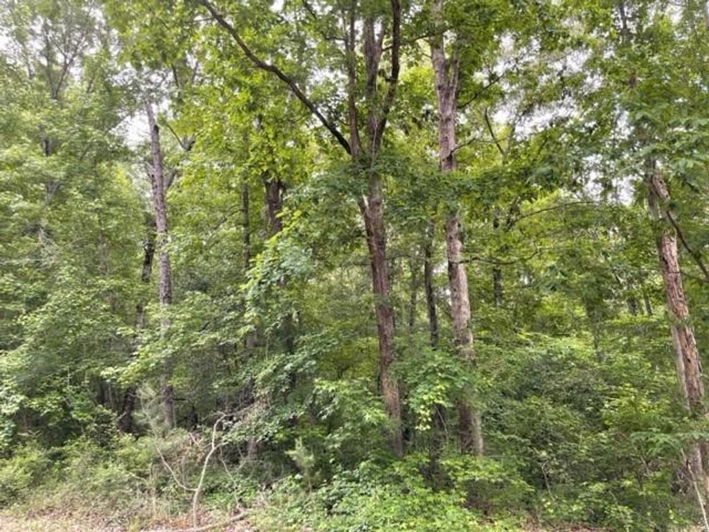 0 Napier Drive, Eatonton, GA 31024