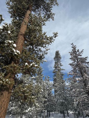 Beechwood 16, La Pine, OR 97739