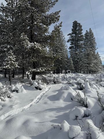 Beechwood 16, La Pine, OR 97739