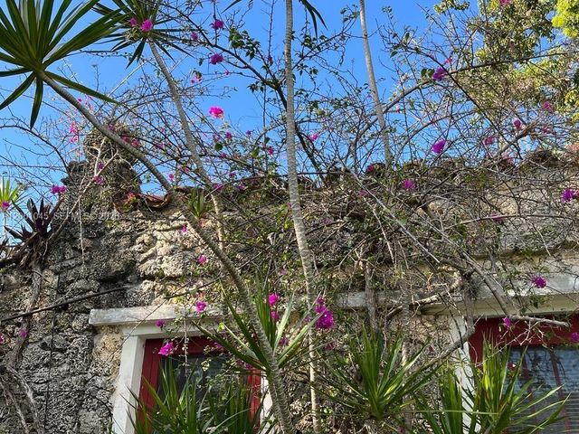 8238 NE 9th Ave, Miami, FL 33138