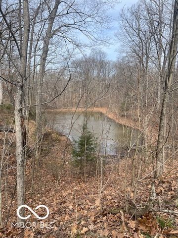 1161 Hornettown Road, Morgantown, IN 46160