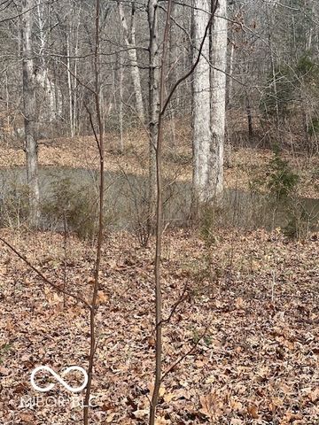 1161 Hornettown Road, Morgantown, IN 46160