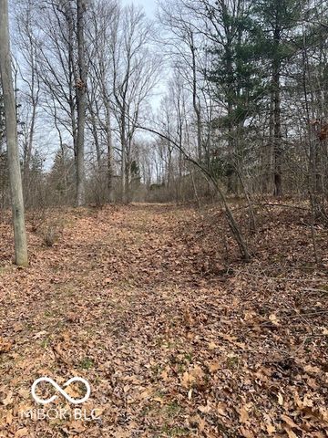 1161 Hornettown Road, Morgantown, IN 46160