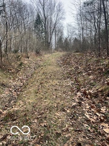 1161 Hornettown Road, Morgantown, IN 46160