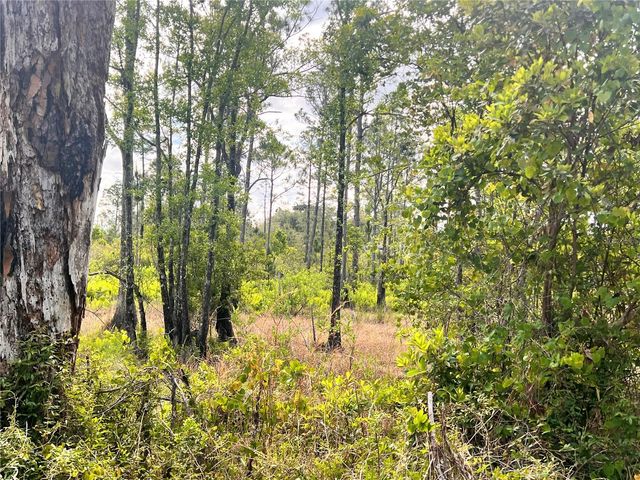 BANYAN STREET Unit No. 1, Eustis, FL 32736