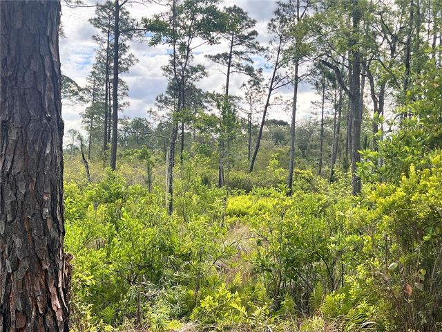 BANYAN STREET Unit No. 1, Eustis, FL 32736