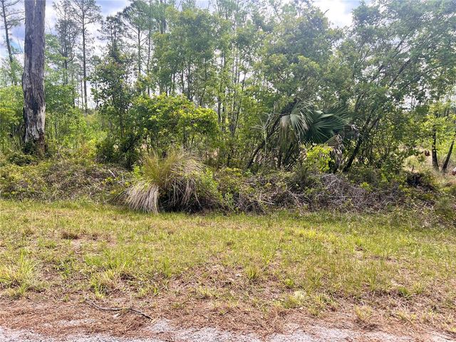 BANYAN STREET Unit No. 1, Eustis, FL 32736