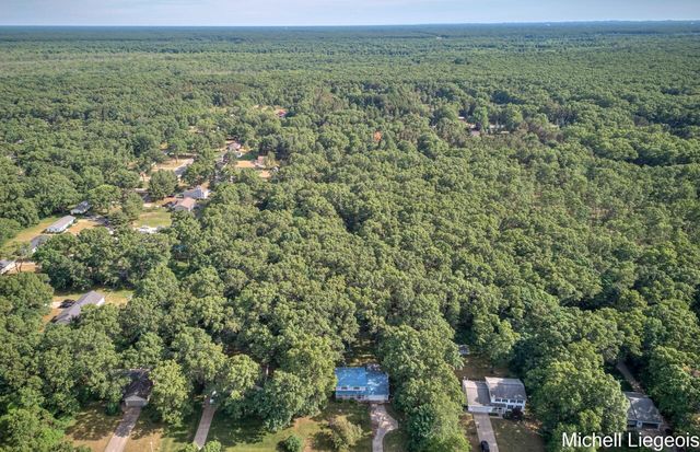 3325 S Riverwood Drive, Twin Lake, MI 49457