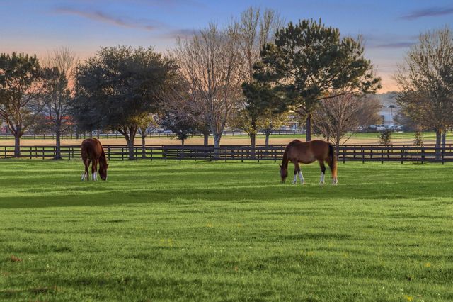 12606 Walther Court, Magnolia, TX 77354