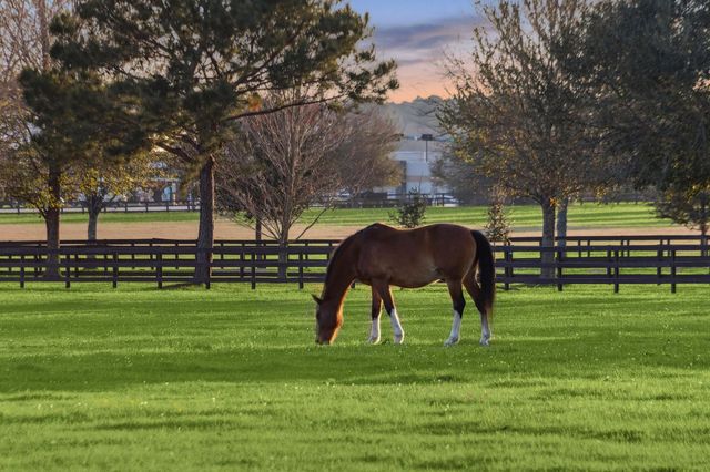 12606 Walther Court, Magnolia, TX 77354