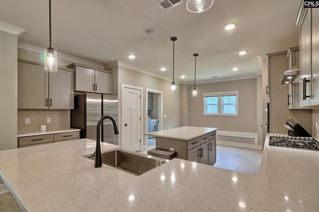 256 Murray Falls Lane, Chapin, SC 29036