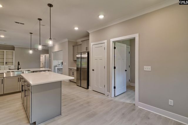256 Murray Falls Lane, Chapin, SC 29036