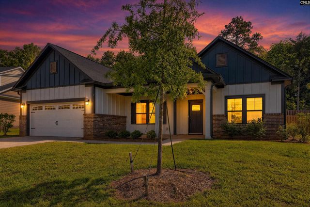 256 Murray Falls Lane, Chapin, SC 29036