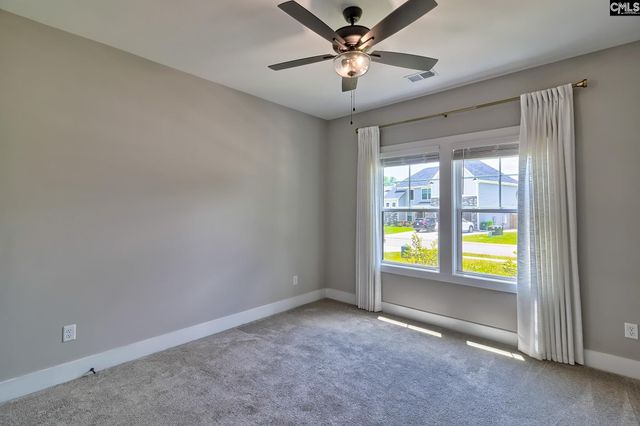 256 Murray Falls Lane, Chapin, SC 29036
