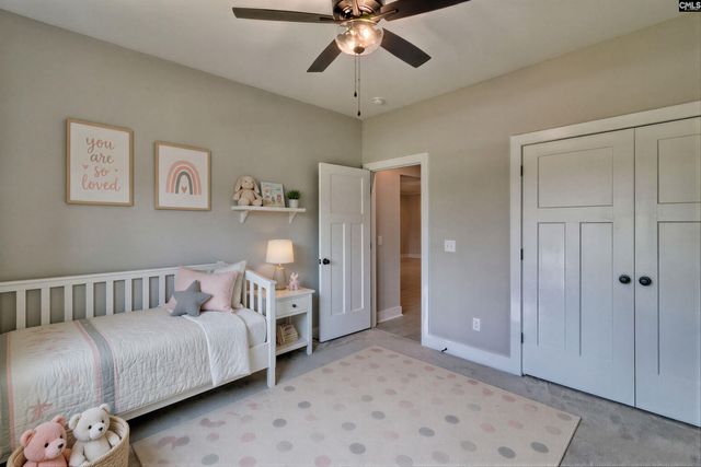 256 Murray Falls Lane, Chapin, SC 29036