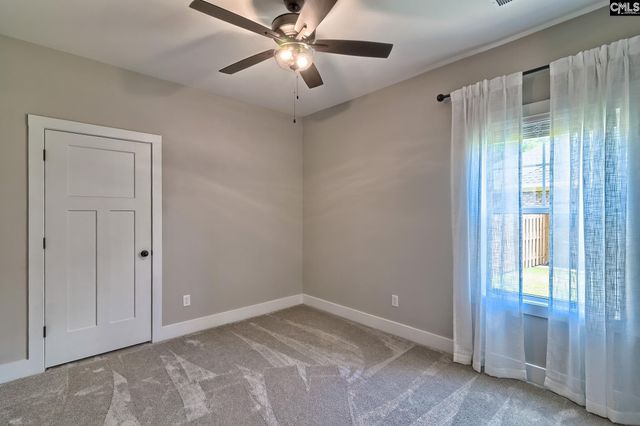 256 Murray Falls Lane, Chapin, SC 29036