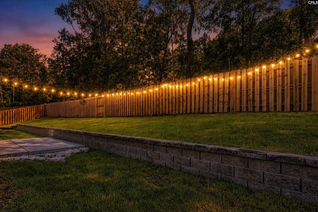 256 Murray Falls Lane, Chapin, SC 29036