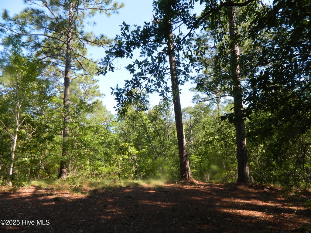Image 4 of property listing at 178 Laurel Oak Lane, Pinebluff, NC 28373