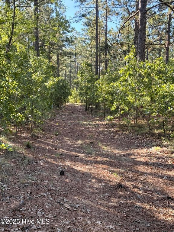 Image 5 of property listing at 178 Laurel Oak Lane, Pinebluff, NC 28373