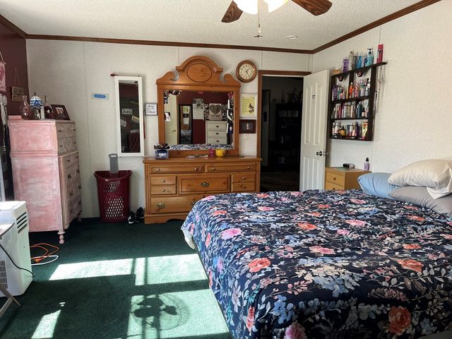 316 Springdale Lane, Ozark, AL 36360