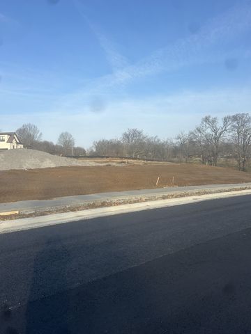 0 Wood Duck Lane, Hendersonville, TN 37075