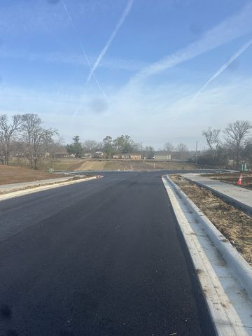 0 Wood Duck Lane, Hendersonville, TN 37075