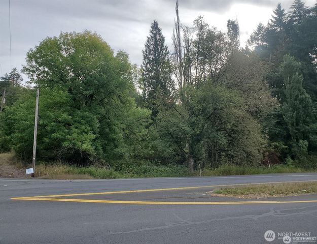 0 Haussler Road, Kelso, WA 98626