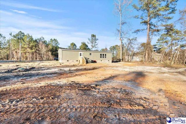 3525 Ballpark Rd., Effingham, SC 29541